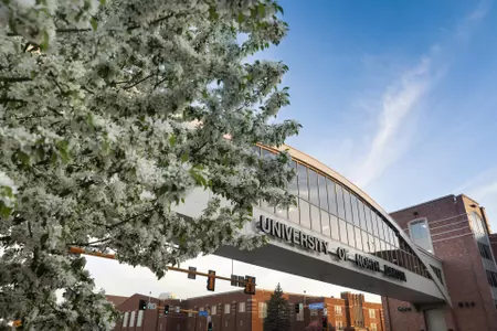 Fighting Hawks Sports Partnerships to Launch Uniform Branding RFI on March 31