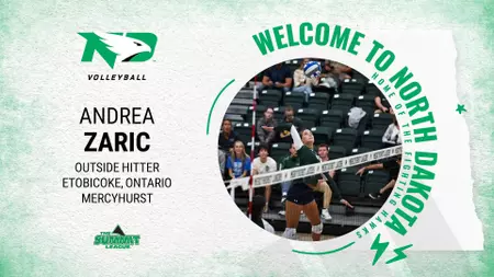 Hawks Ink Mercyhurst Transfer Andrea Zaric
