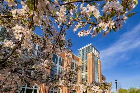 Natalie Talk named Assistant Athletic Director for Business Operations