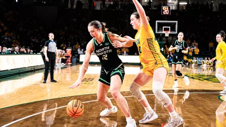 Fighting Hawks Drop to Bison on the Road